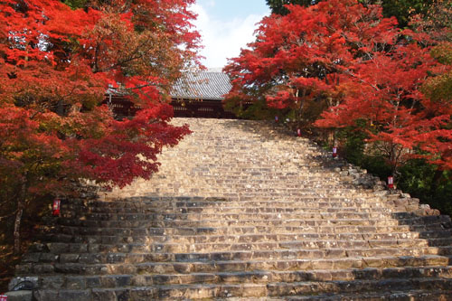 神護寺　京都最速の観光スポット