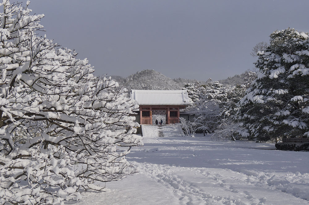 雪の仁和寺中門