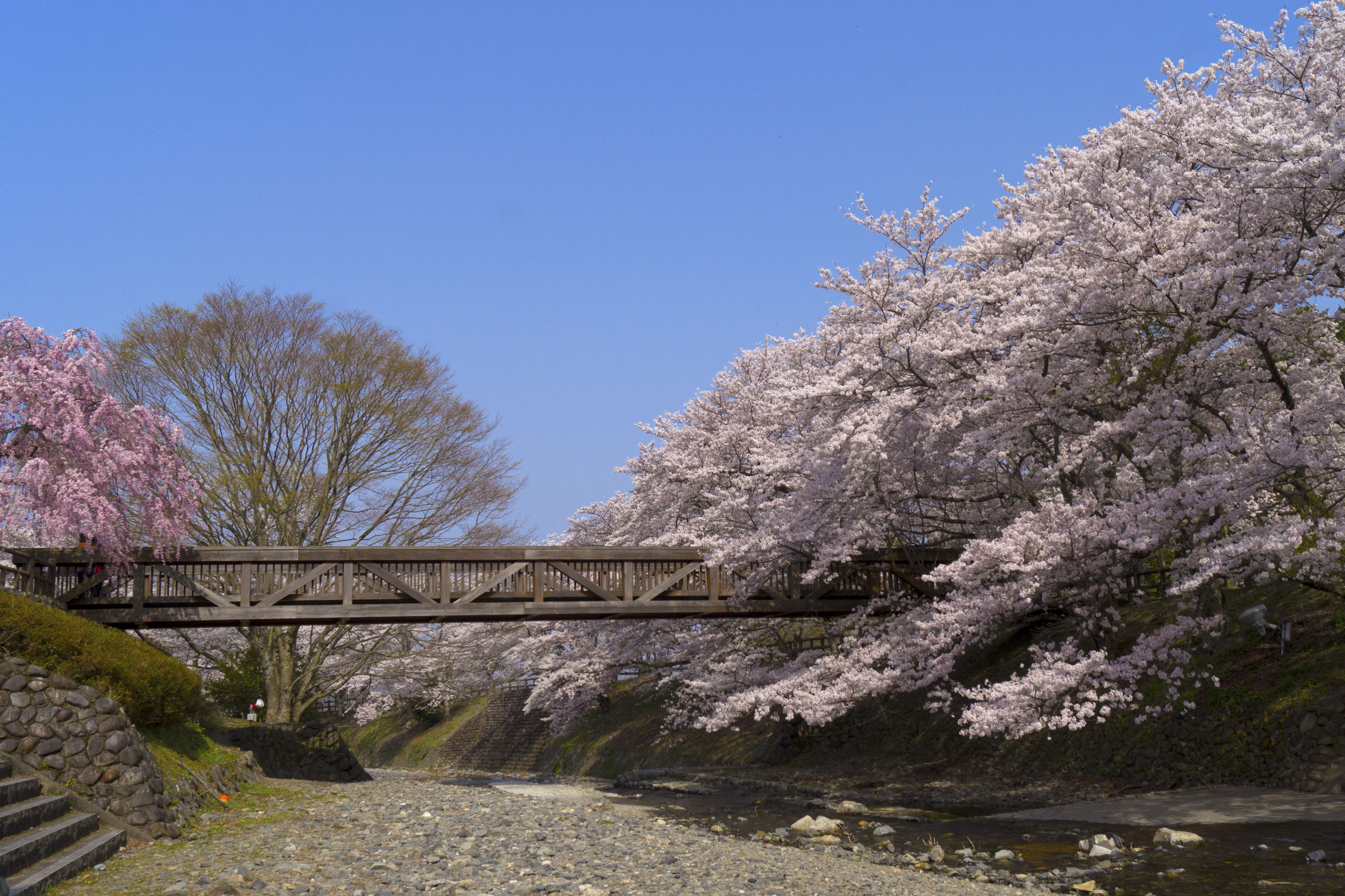 京都 亀岡 和らぎの道 遊歩道の橋