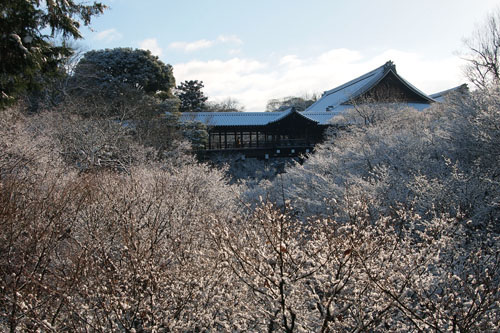 東福寺の雪景色