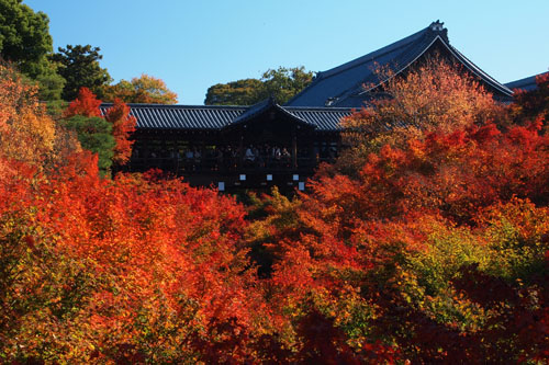 東福寺　通天橋は紅葉の観光スポット