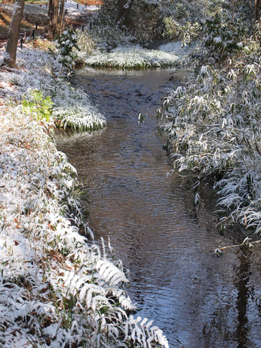 雪の泉川