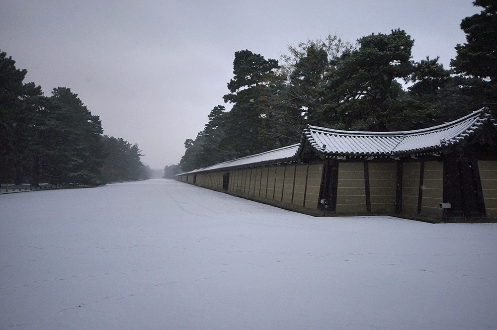 京都御苑（御所）猿が辻の雪景色