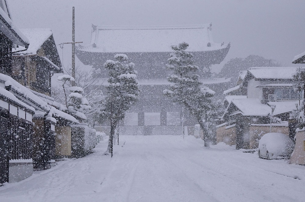 雪の仁和寺 仁王門
