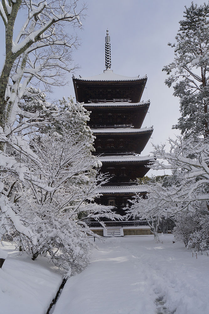 雪の仁和寺 五重塔