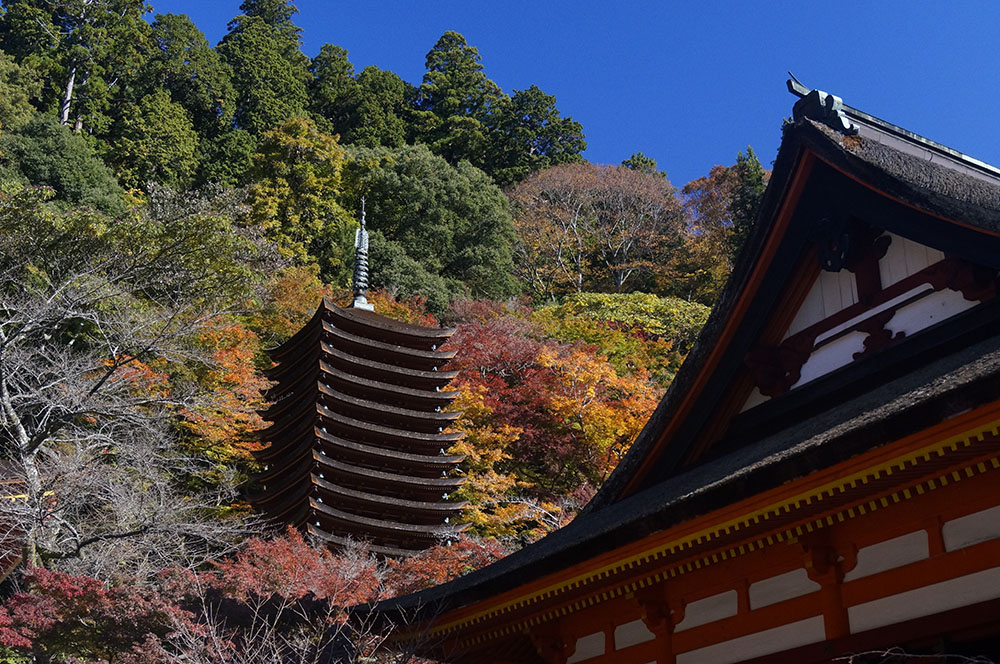 談山神社の紅葉
