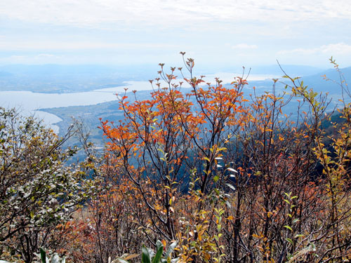 蓬莱山から琵琶湖を望む